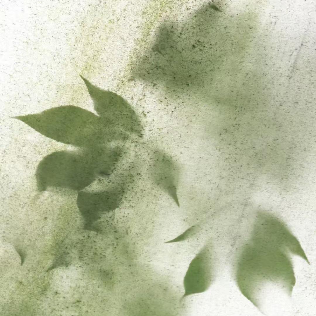 毛毛雨