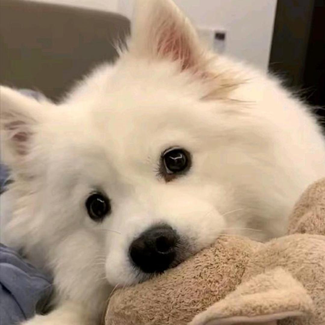 郑团团（12月25日女装门店盛大开业）@抖音