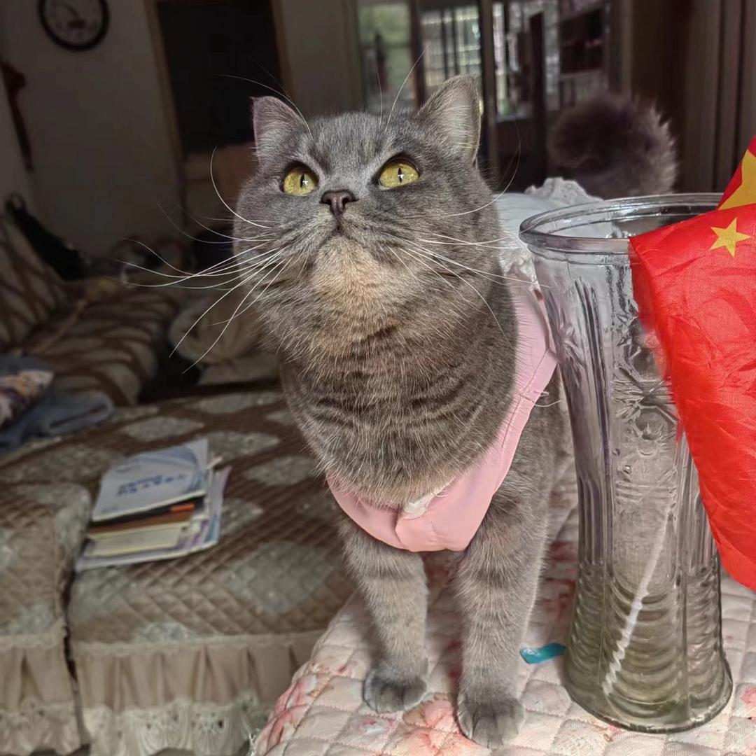 厌