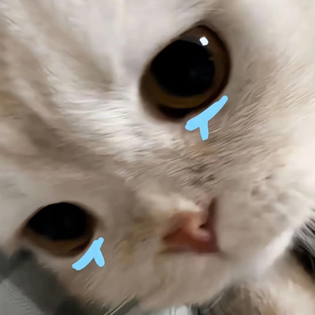 冰块^🧊