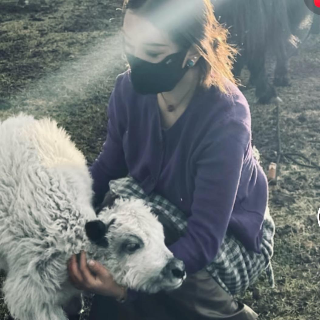 ༒མཚོ་མོ།🪷