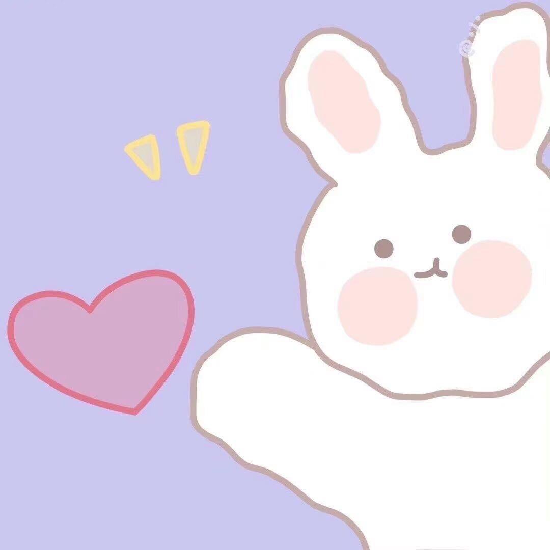 兔兔的缘分🐰