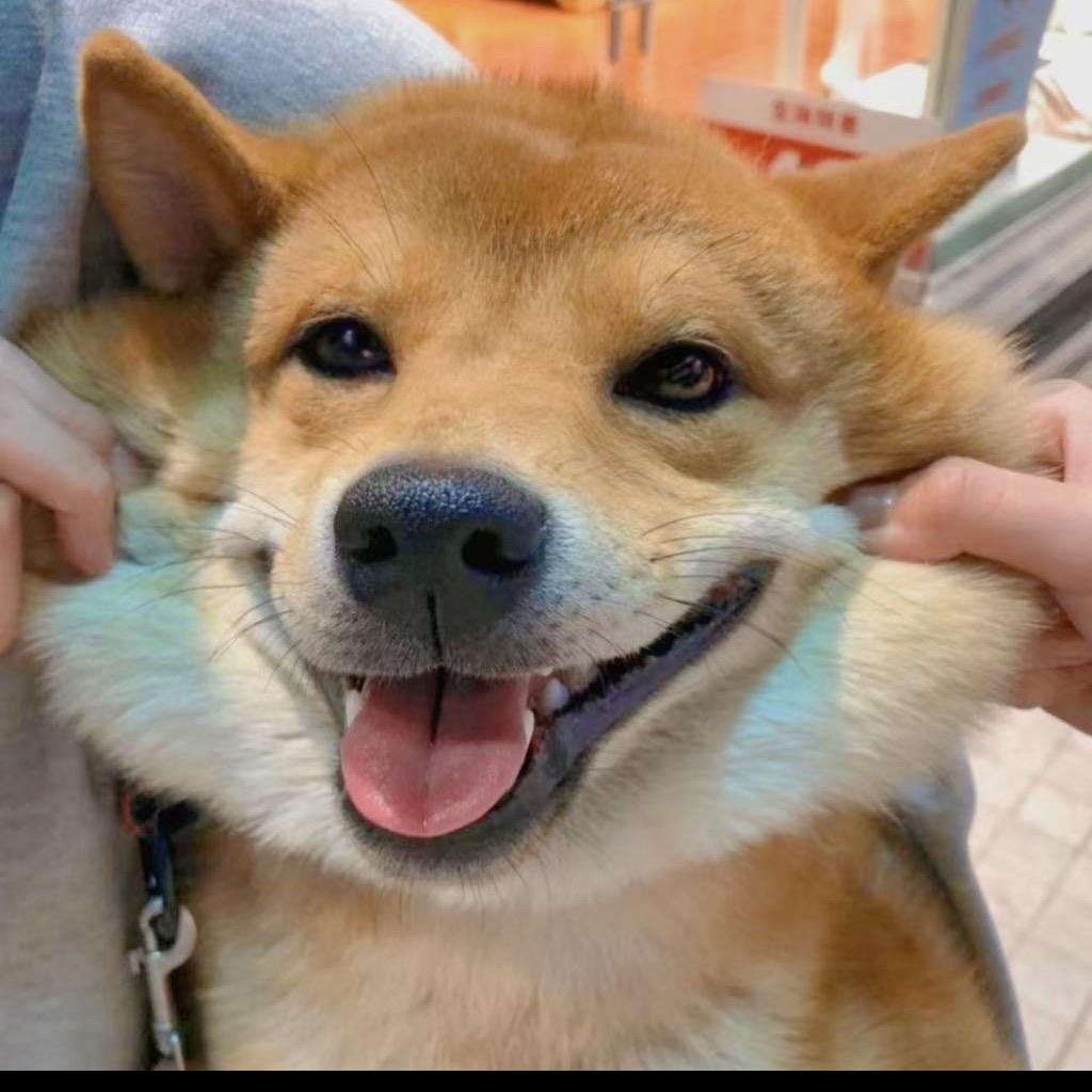 皮皮皮皮皮卡丘