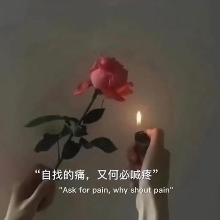 .叶子优品服饰