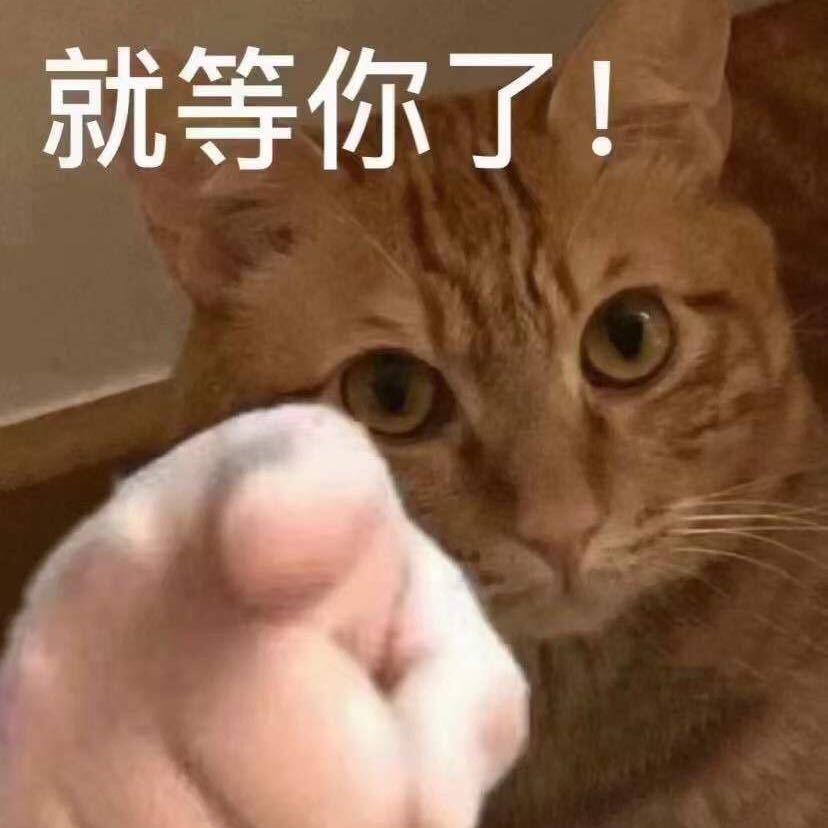 讲声多谢武仔哥