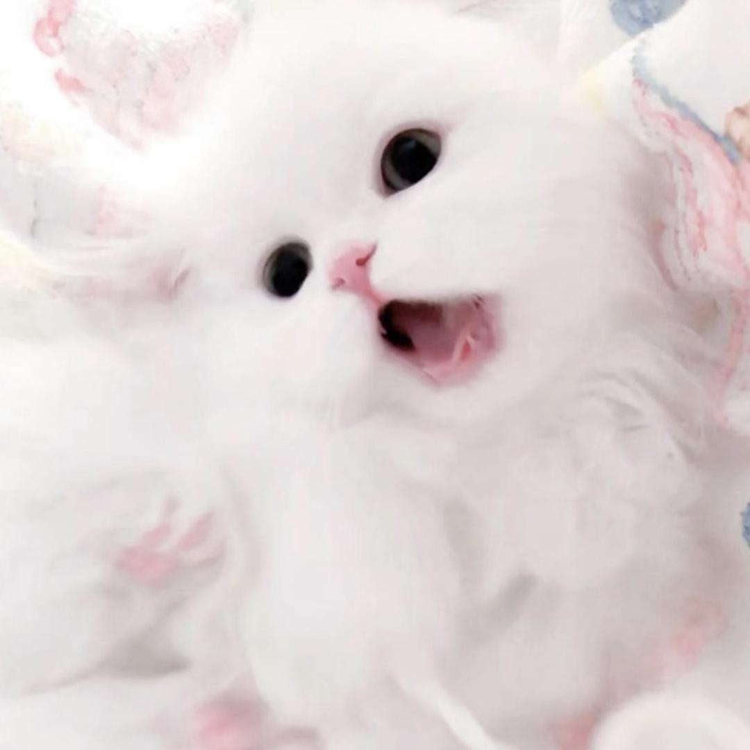 小u郁