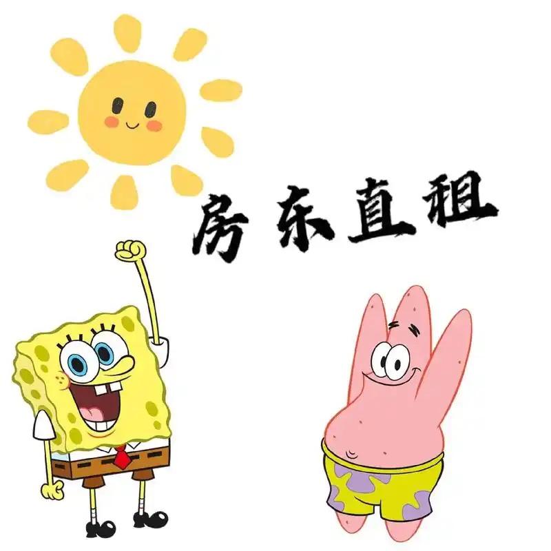 AA尚顶顺