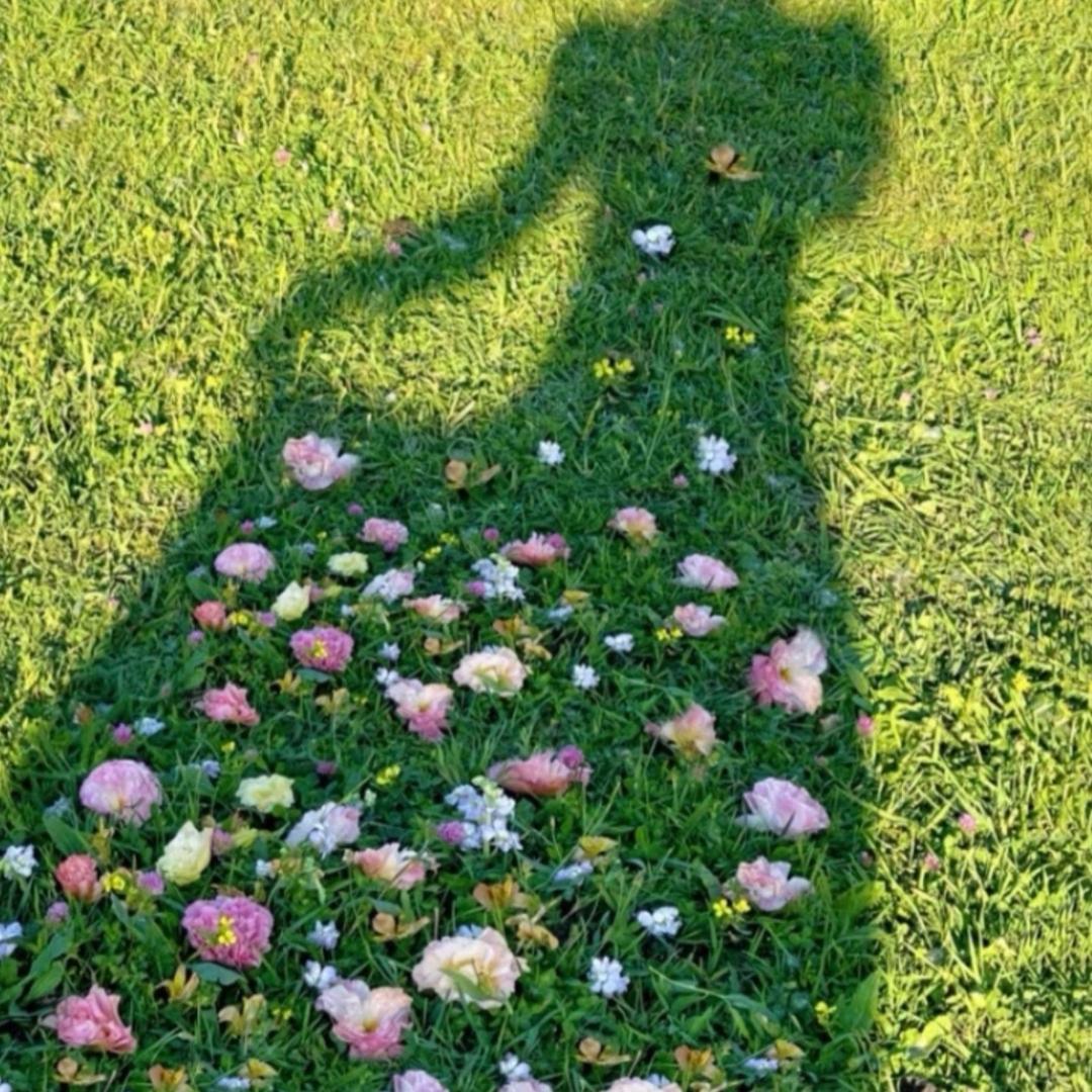木棉花❤️