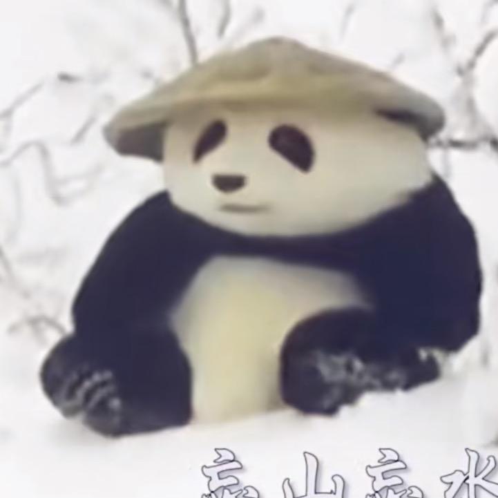 今晚打龟佬
