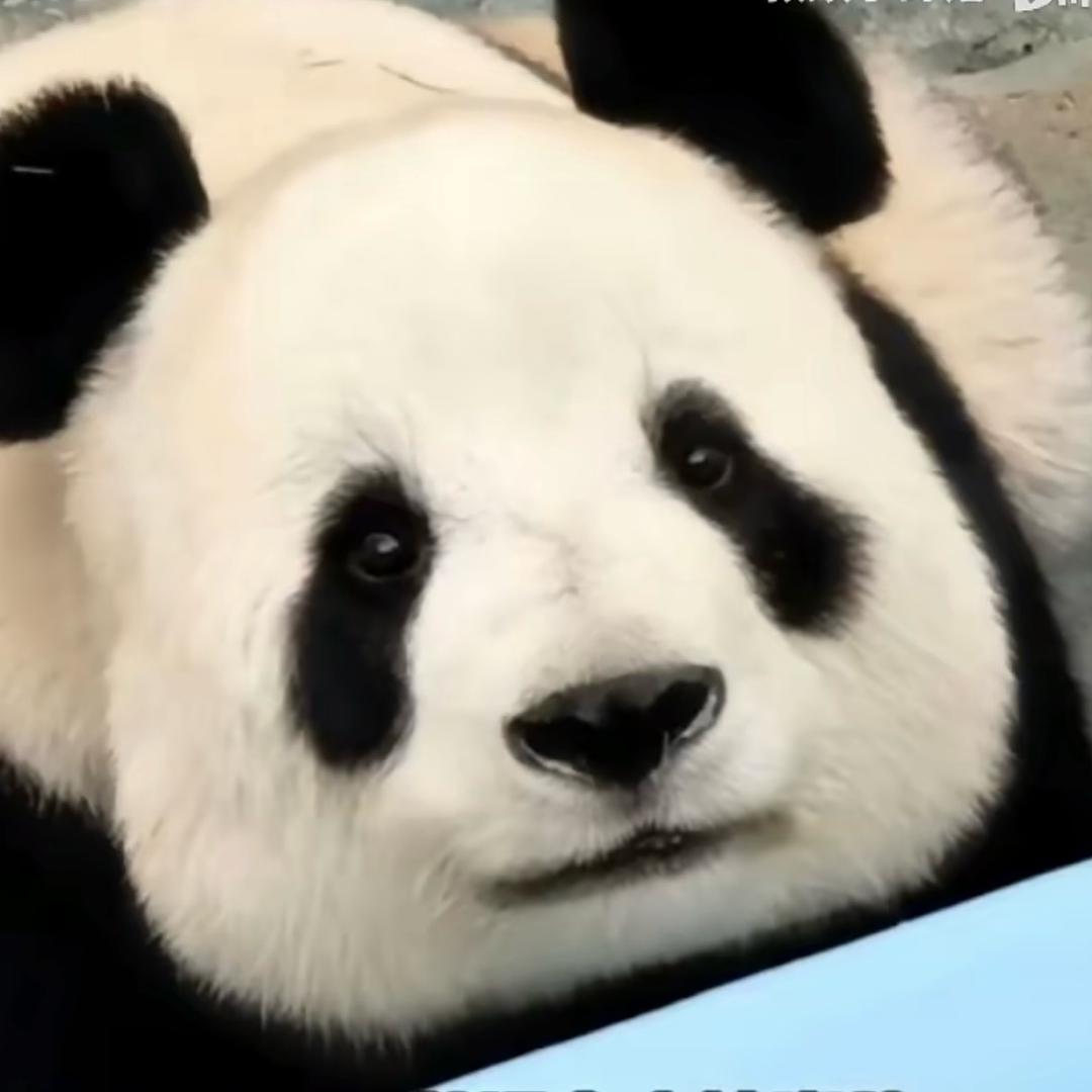 方一