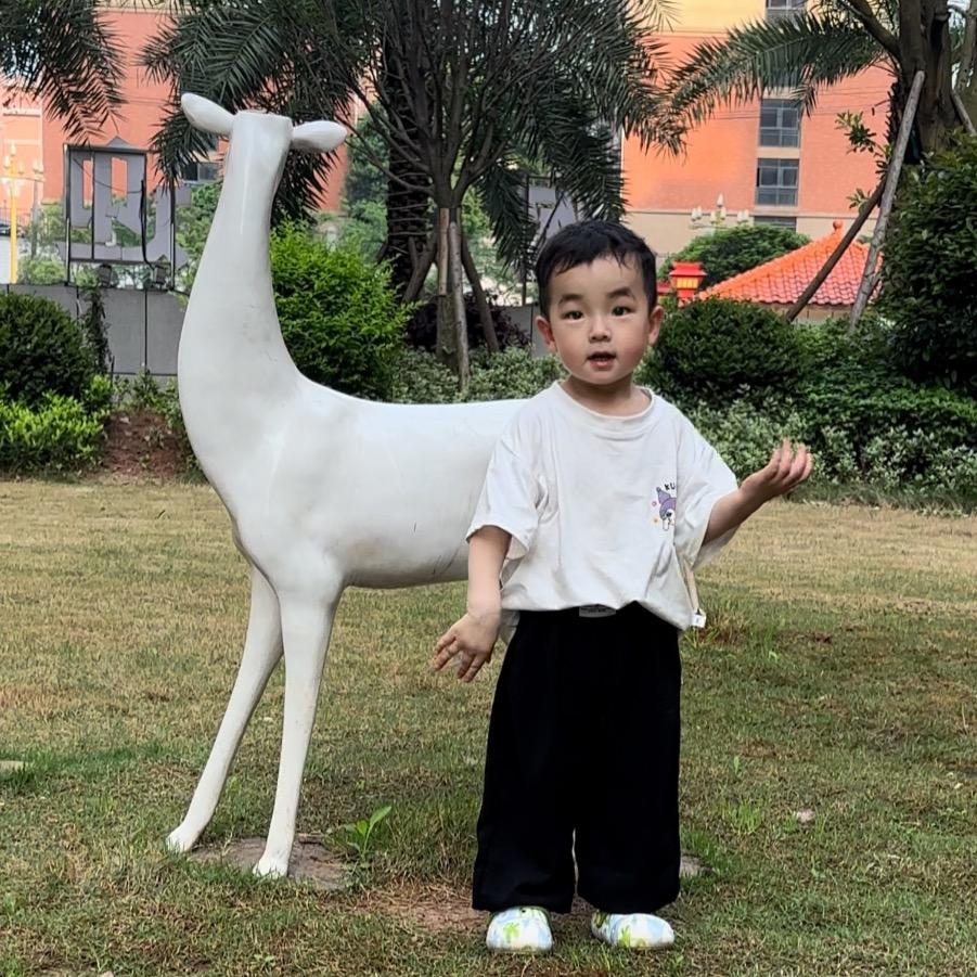 航宝妈