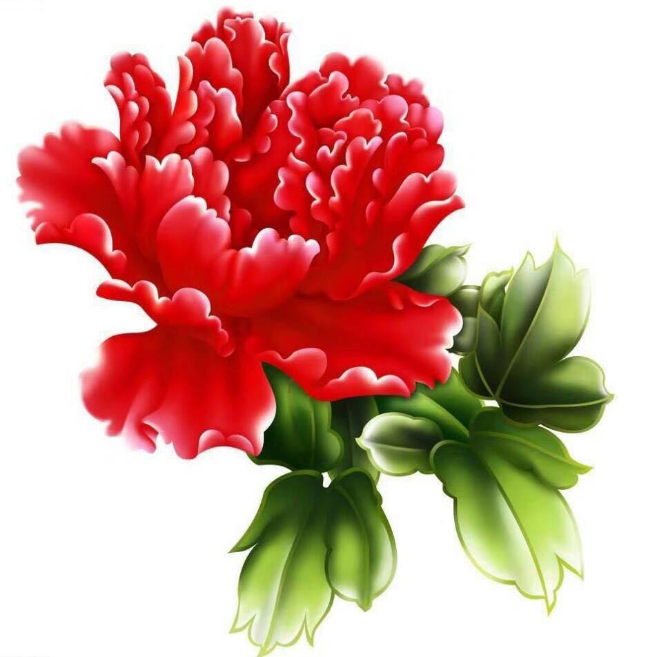蓝莓