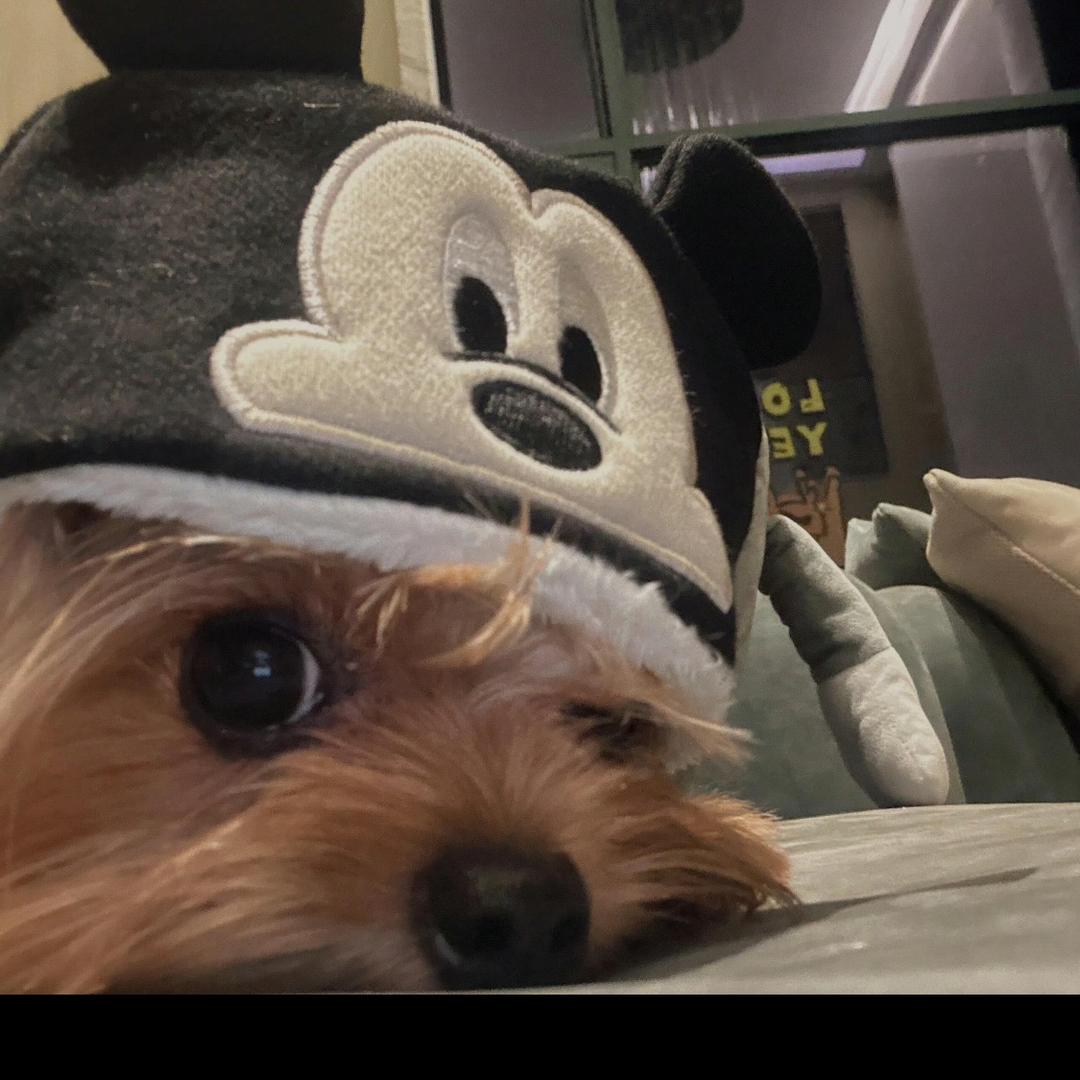 ㅤㅤㅤㅤ ㅤㅤㅤㅤ.