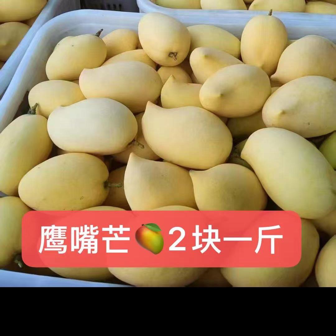滑县果美美