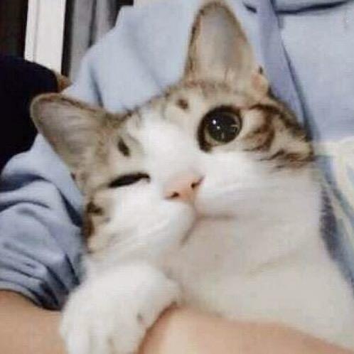 没有悲伤只有爱