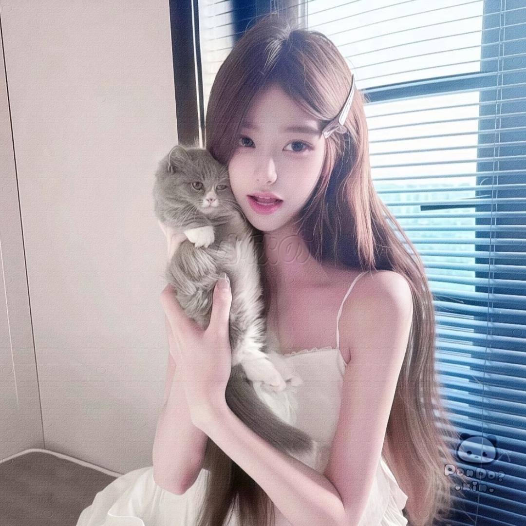 fei_