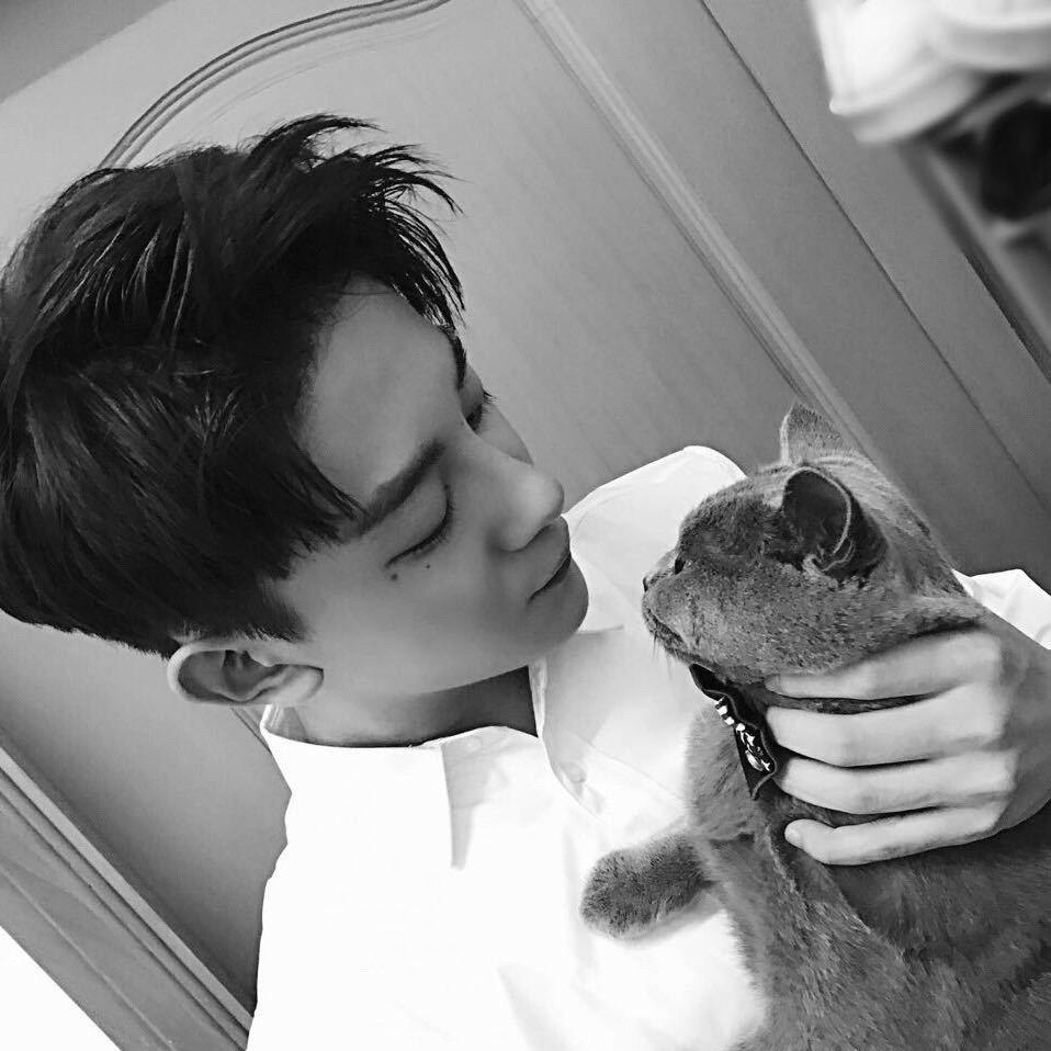 𝒟𝑒𝓇𝒾𝓃🌊小海浪炒饭🫧