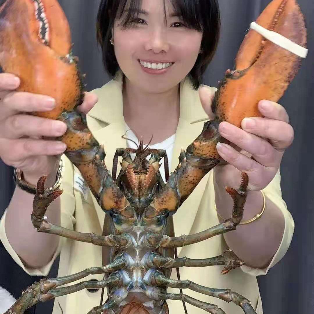 金宇海鲜