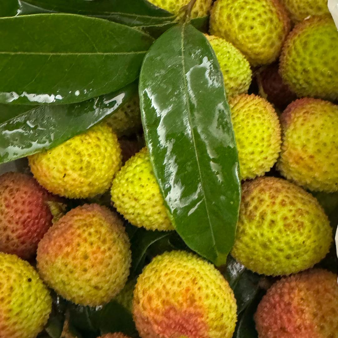 顺. 顺. 顺