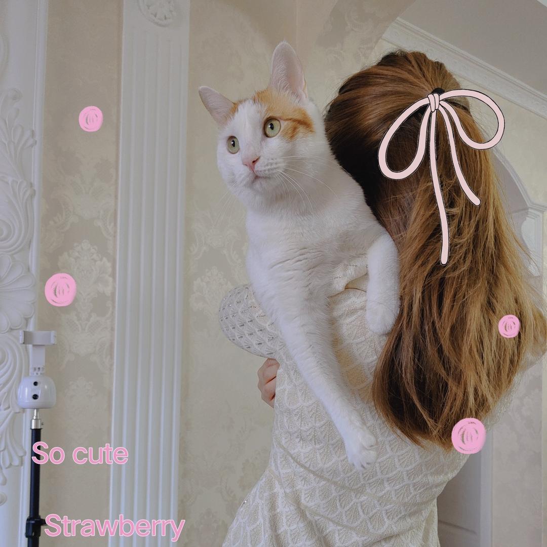 ღ煖βθ㊦ de貓ゆ