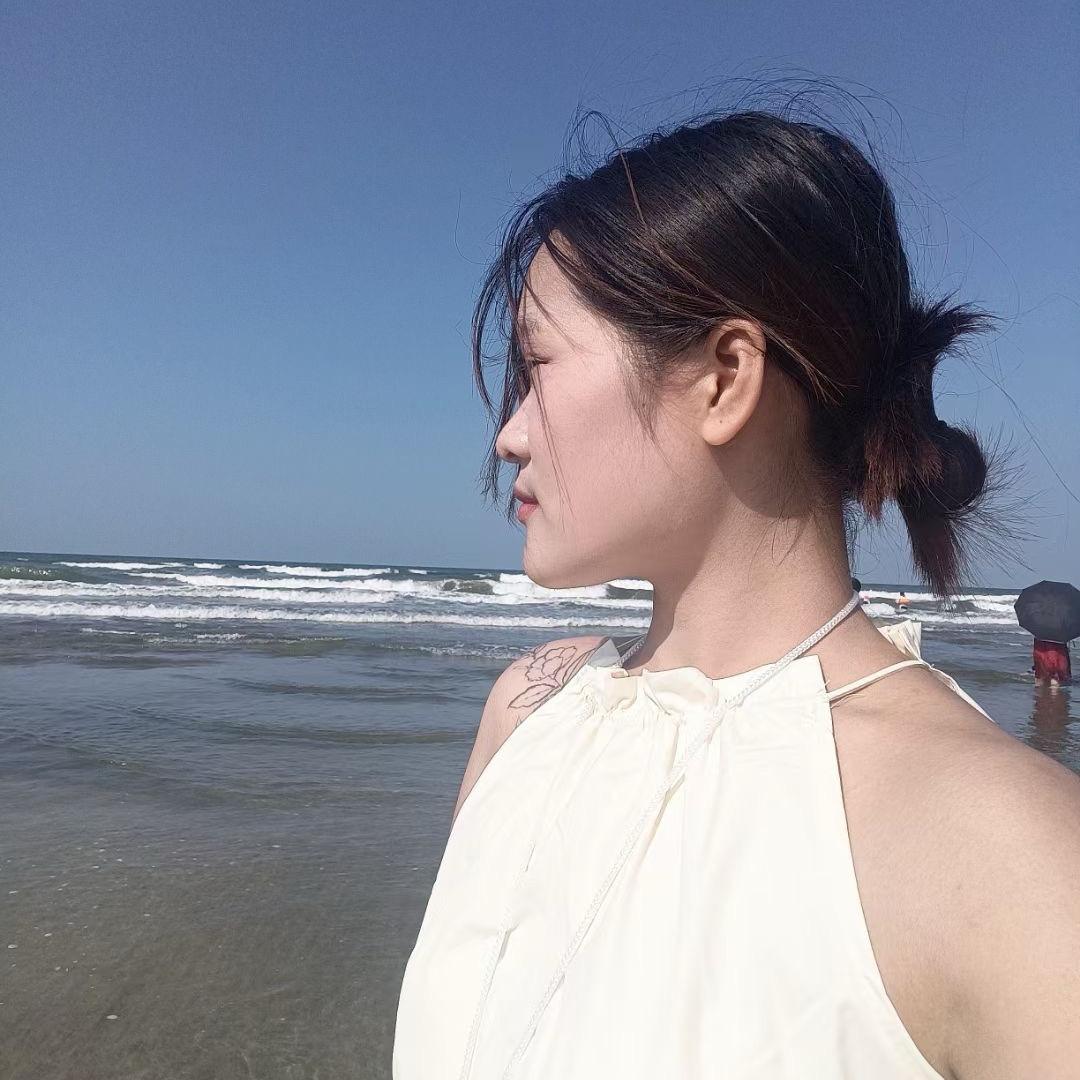 海鸥