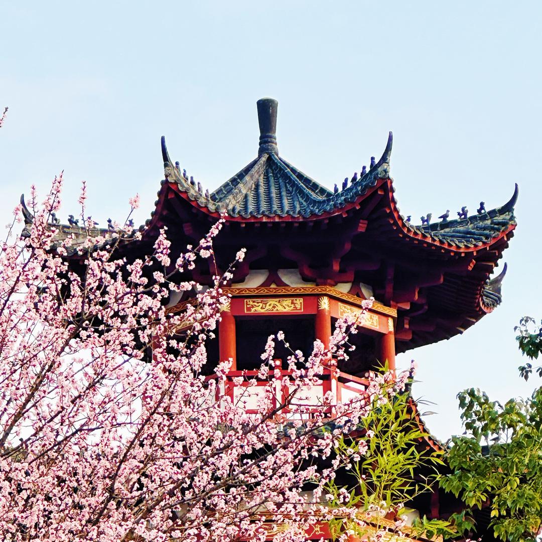 七峰山---花花🌸