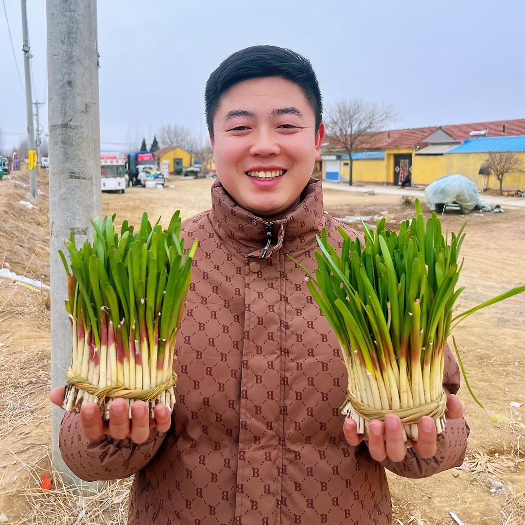 清河农场合作社–志文严选