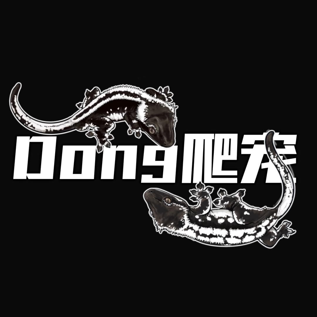 Dong爬宠（3k粉抽卡布）