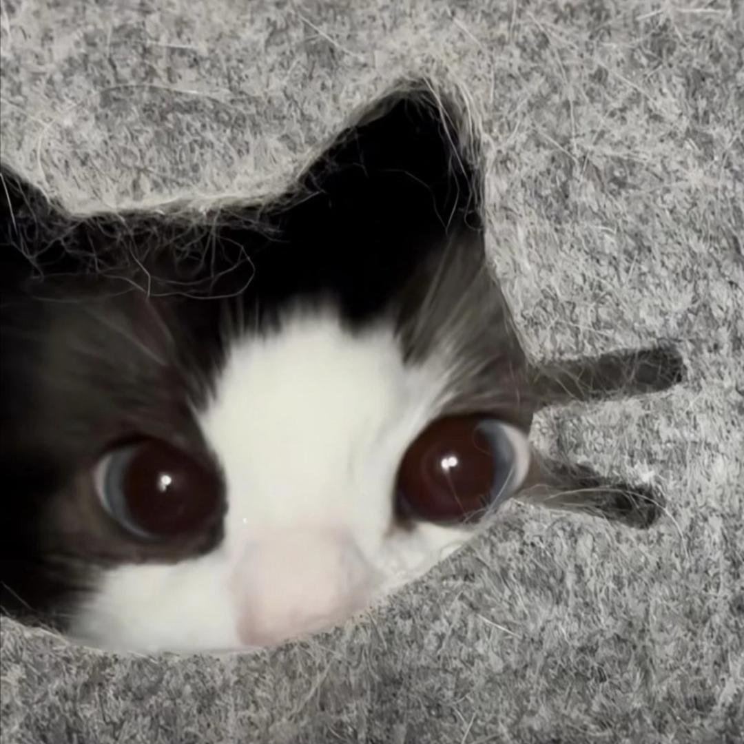 y‘