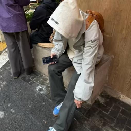 养朵玫瑰.