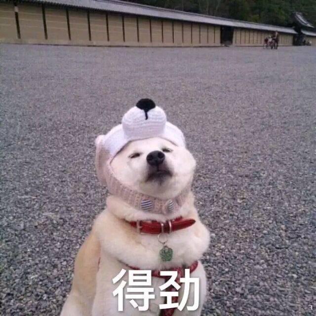 爱打游戏的阿铭