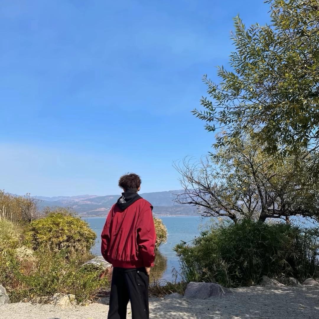 棠梨下🦋