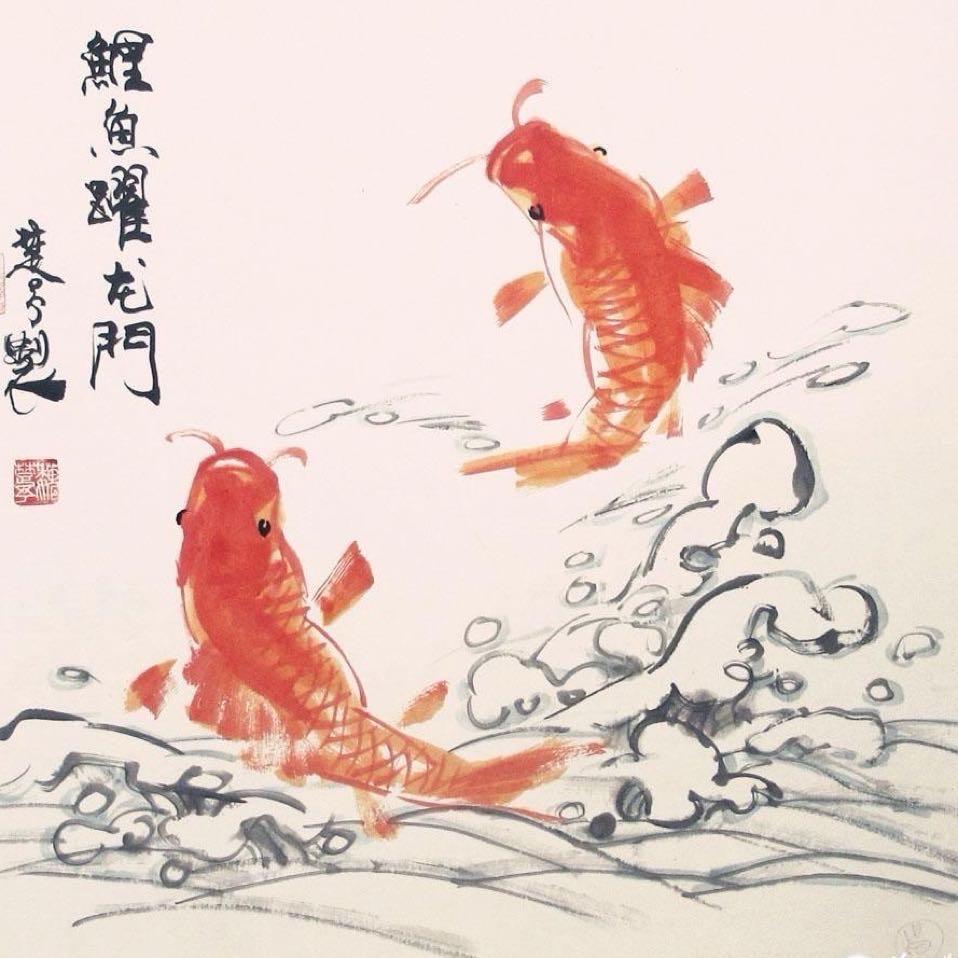 泓鲤鱼