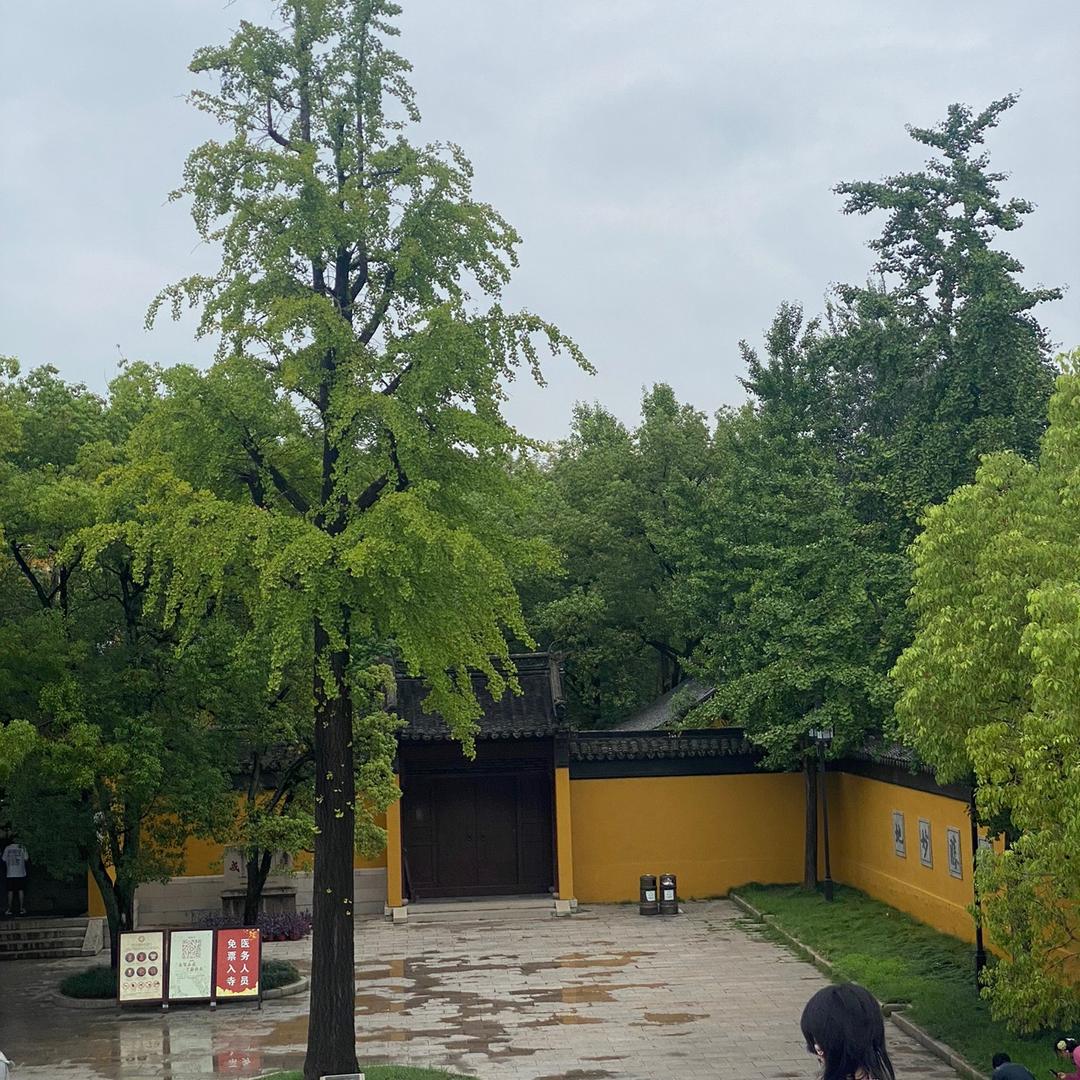 甲午