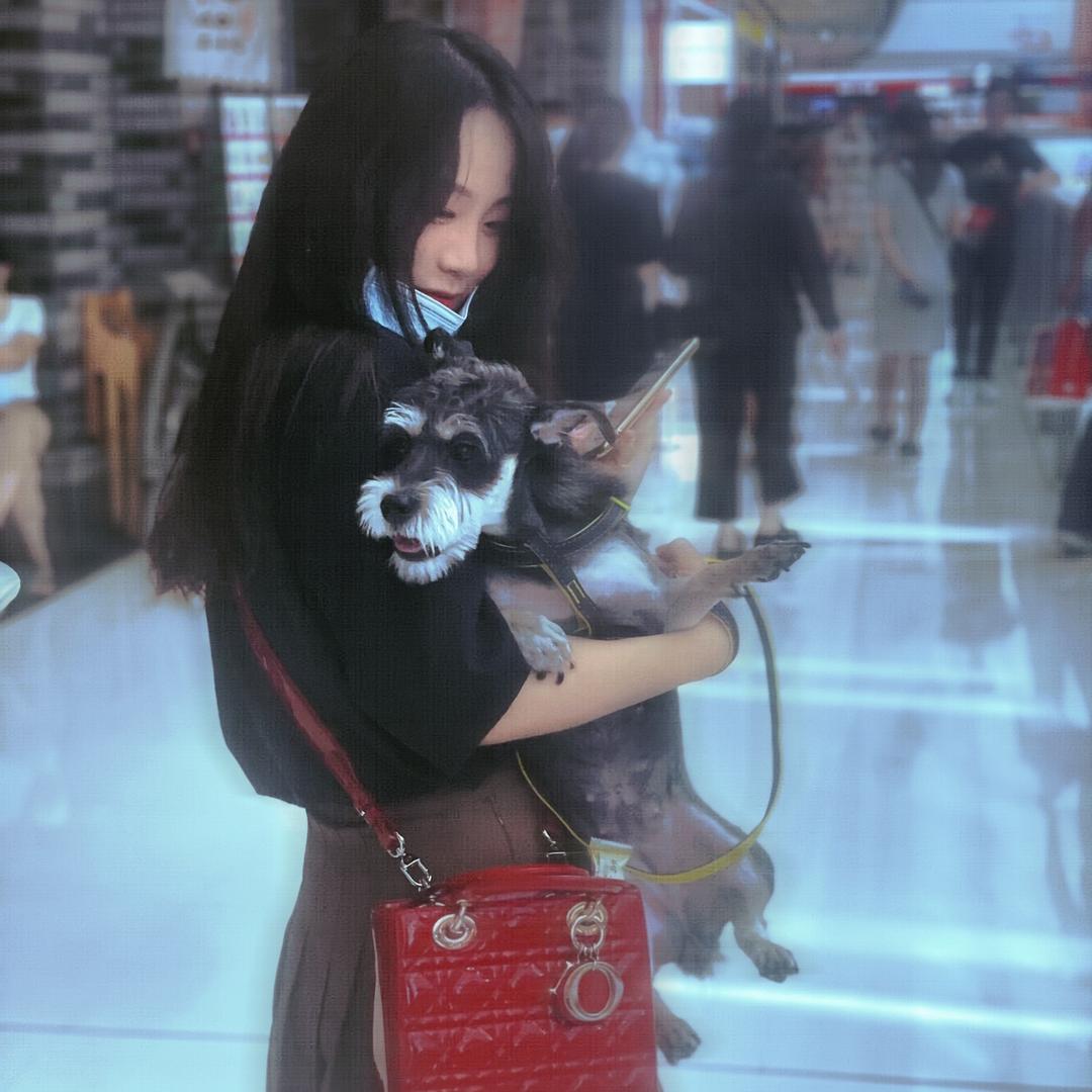 诸葛亮晶晶☆
