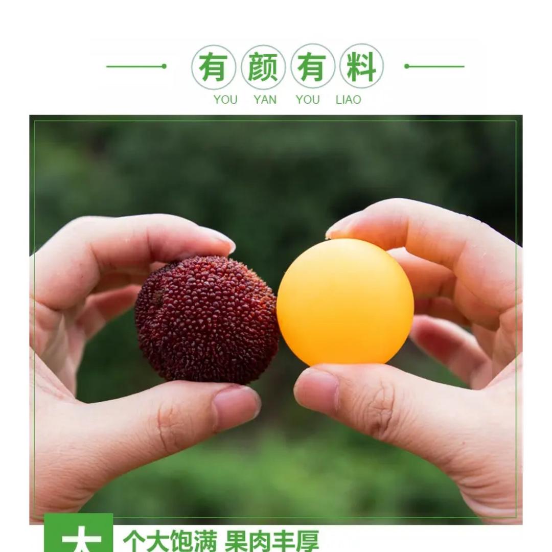 锦Lin
