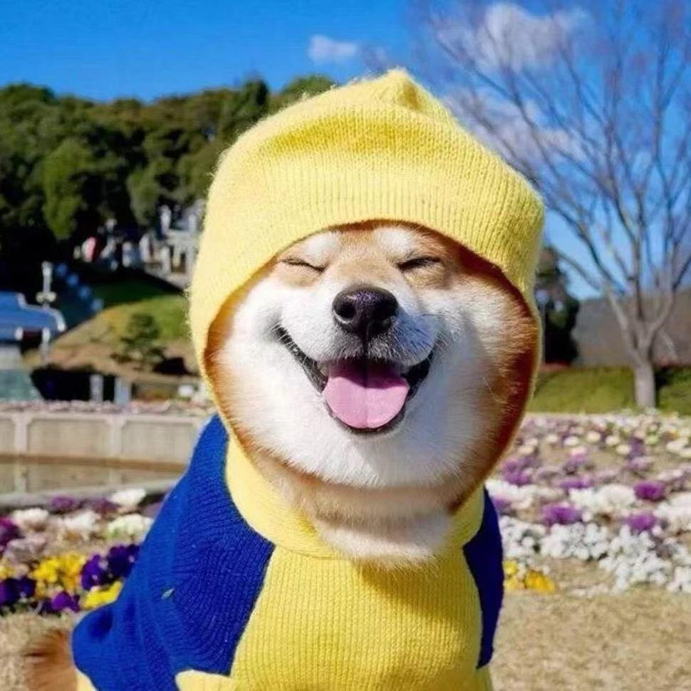 可否许我在少年