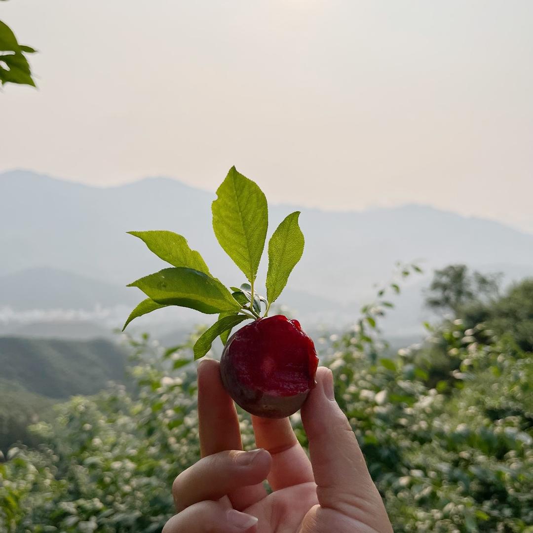 一夜知秋🍂