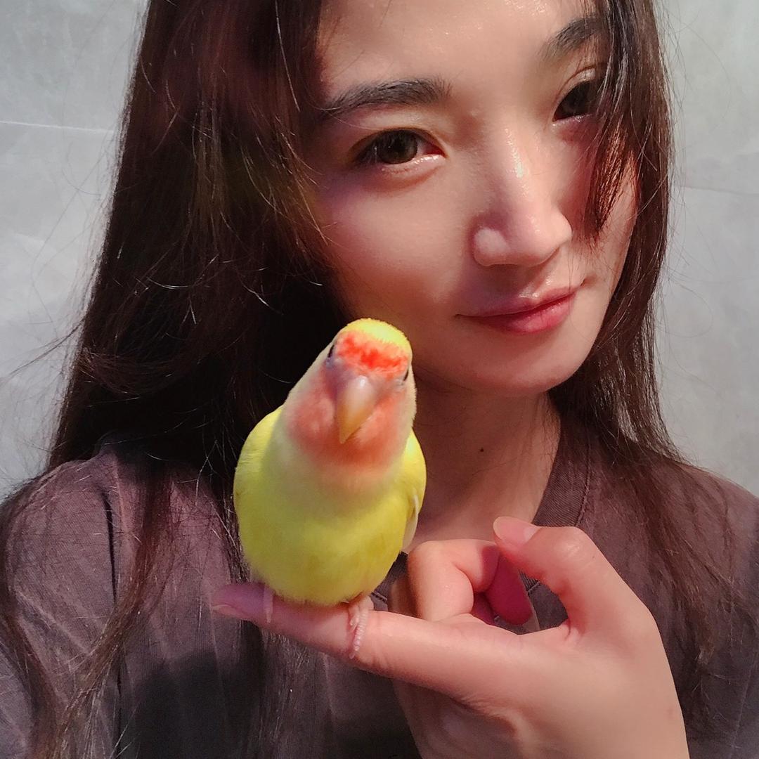 小佳@鹦鹉🦜