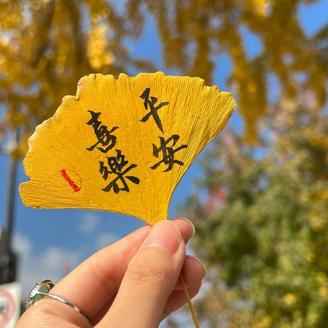 草莓公举