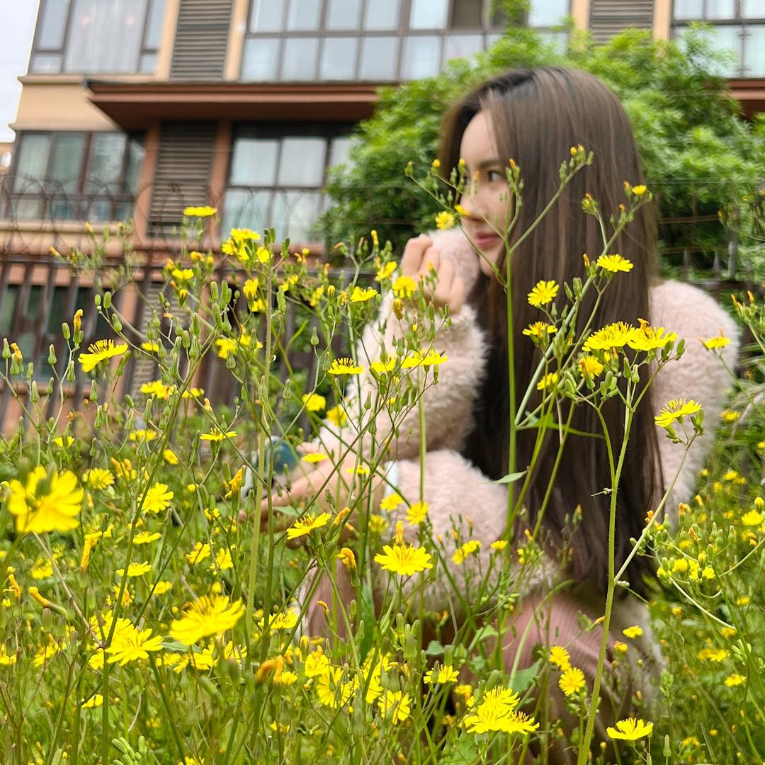 恭喜发财是两条狗🐶