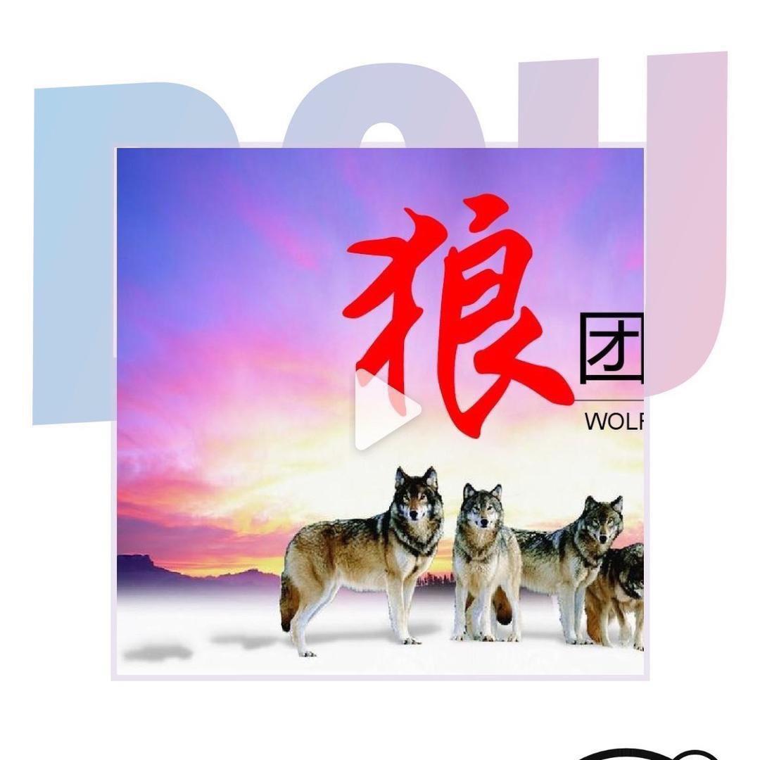 宿迁涛哥