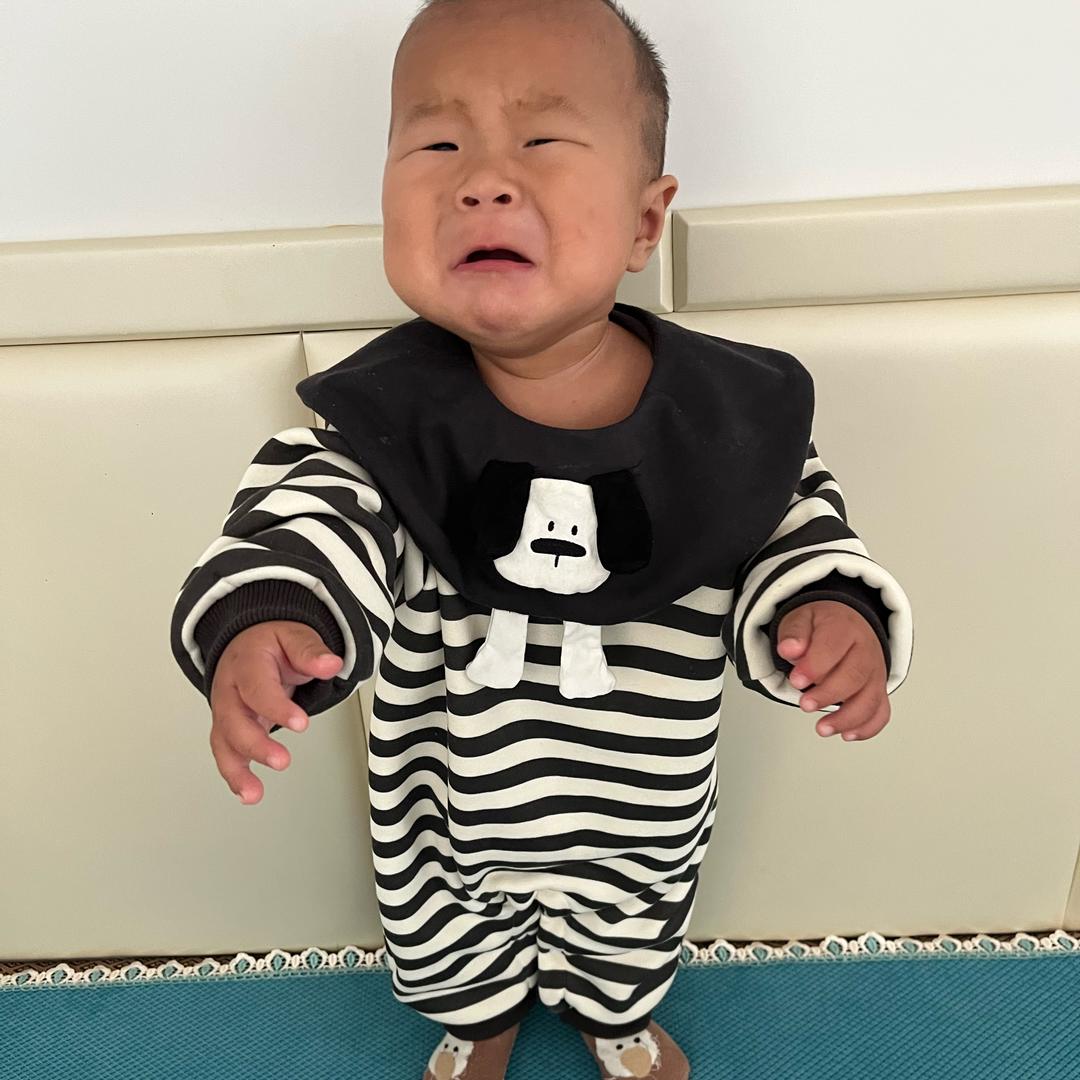 @楠楠的诺诺！
