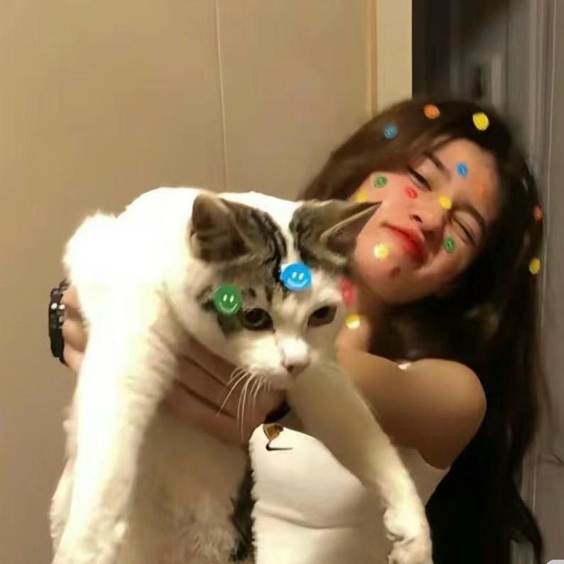 ☆*:.Hong洋芋🥔