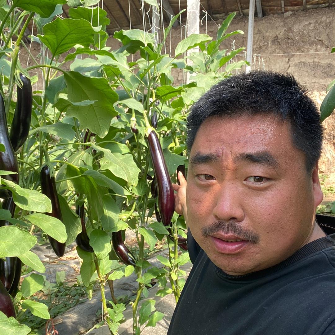 茄子哥为农平台