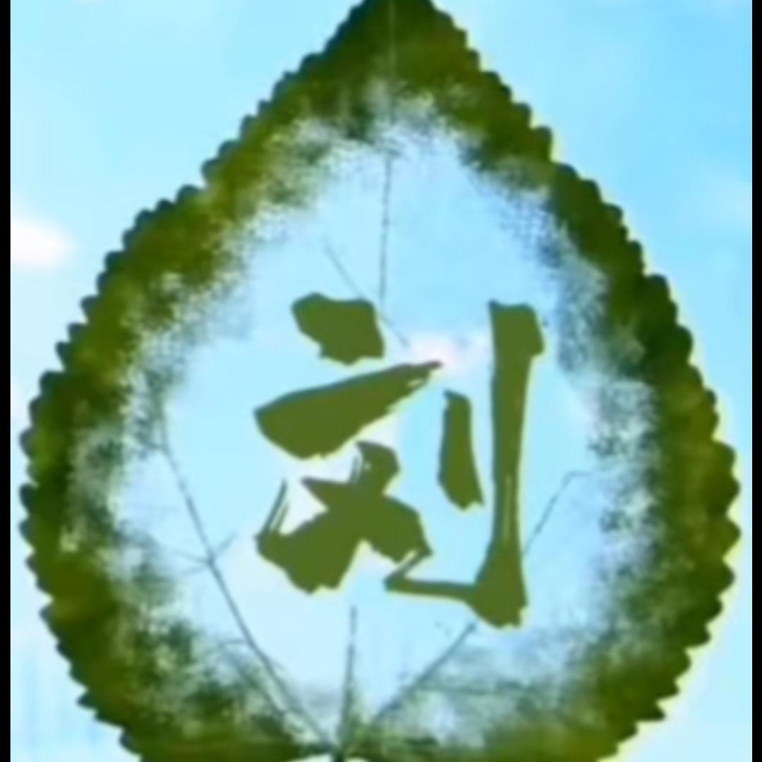 低调看世界