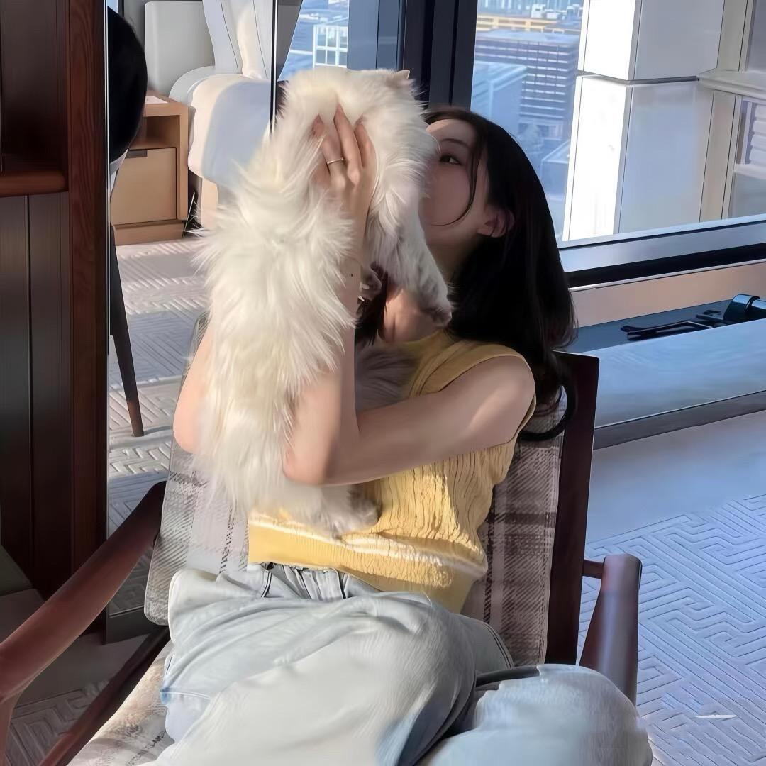 慧