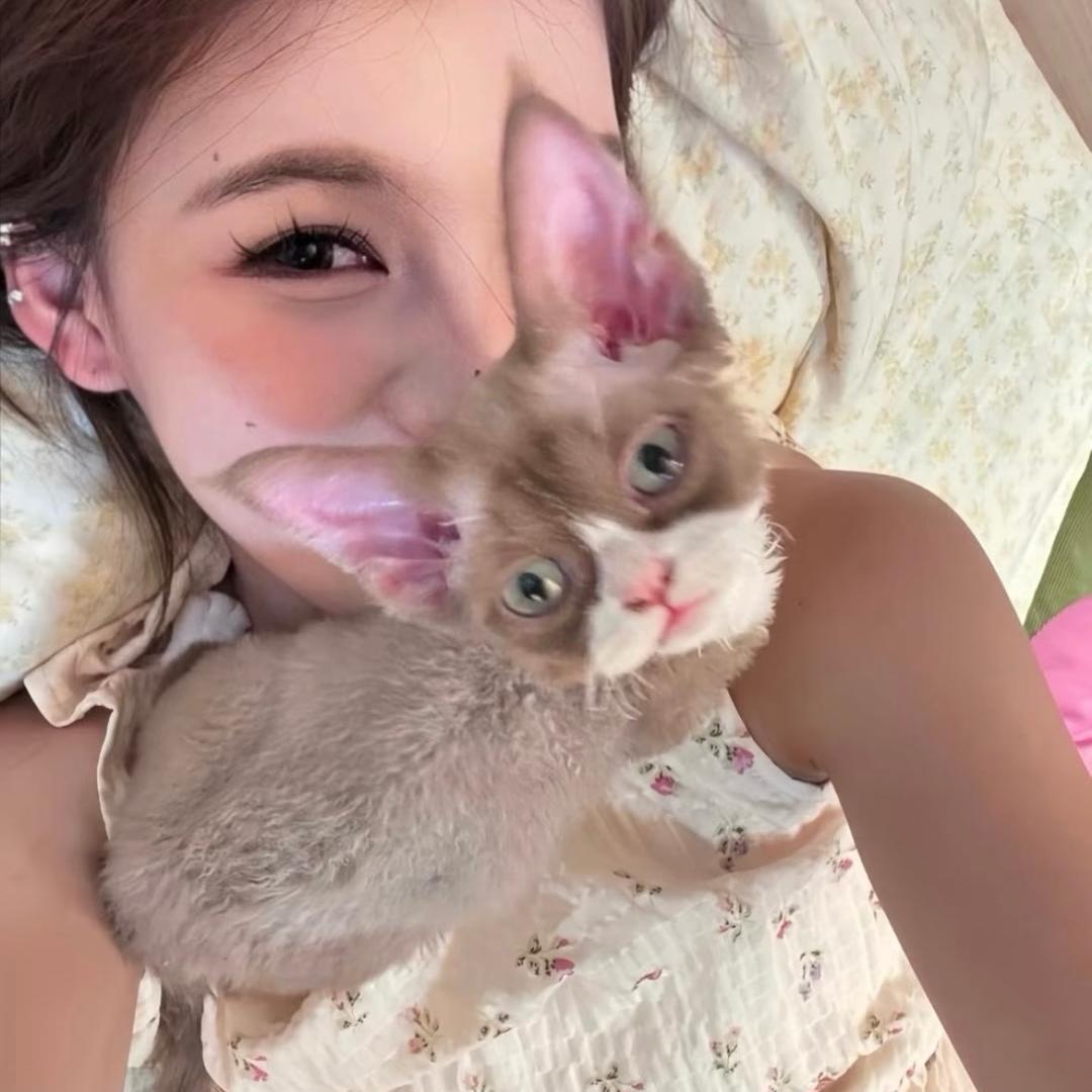 .Jie_