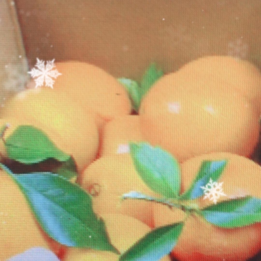 同城次日达百货