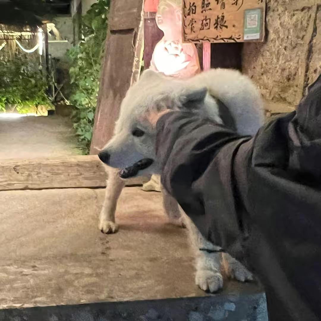 @  Cc.